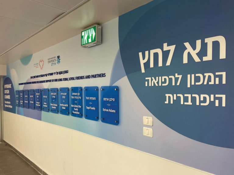 מדריך שלטי הכוונה